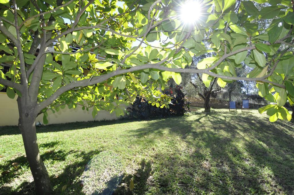 Magdalini Apartments Afión Dış mekan fotoğraf